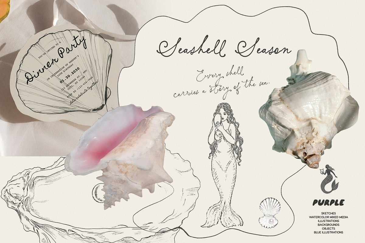 Seashell Season – Coastal Pack, an Object Graphic by Purple (Photo 1 of 12)