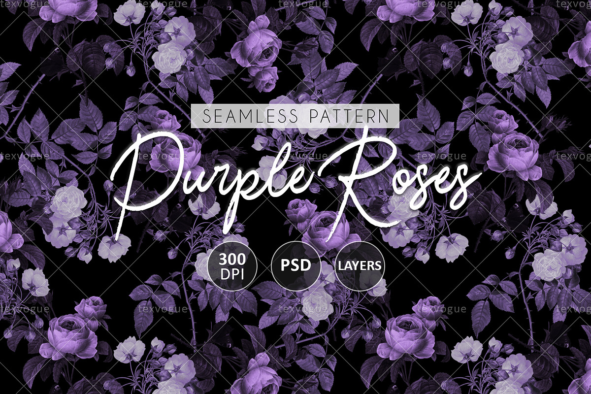 Purple Roses - Seamless Patterns, a Pattern Graphic by texvogue (Photo 1 of 15)