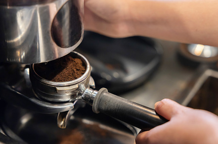 Barista Make Fresh Roasted Coffee