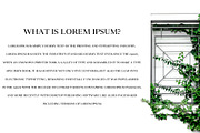 Wensley Modern Serif Font Family, a Serif Font by Creativetacos (Thumbnail 5 of 8)