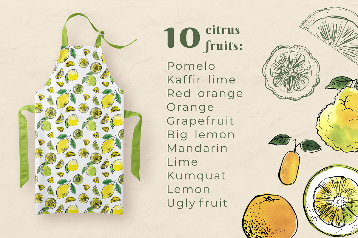 Citrus sketch. Oranges and lemons, a Food Illustration by irina.vaneeva (Photo 8 of 11)