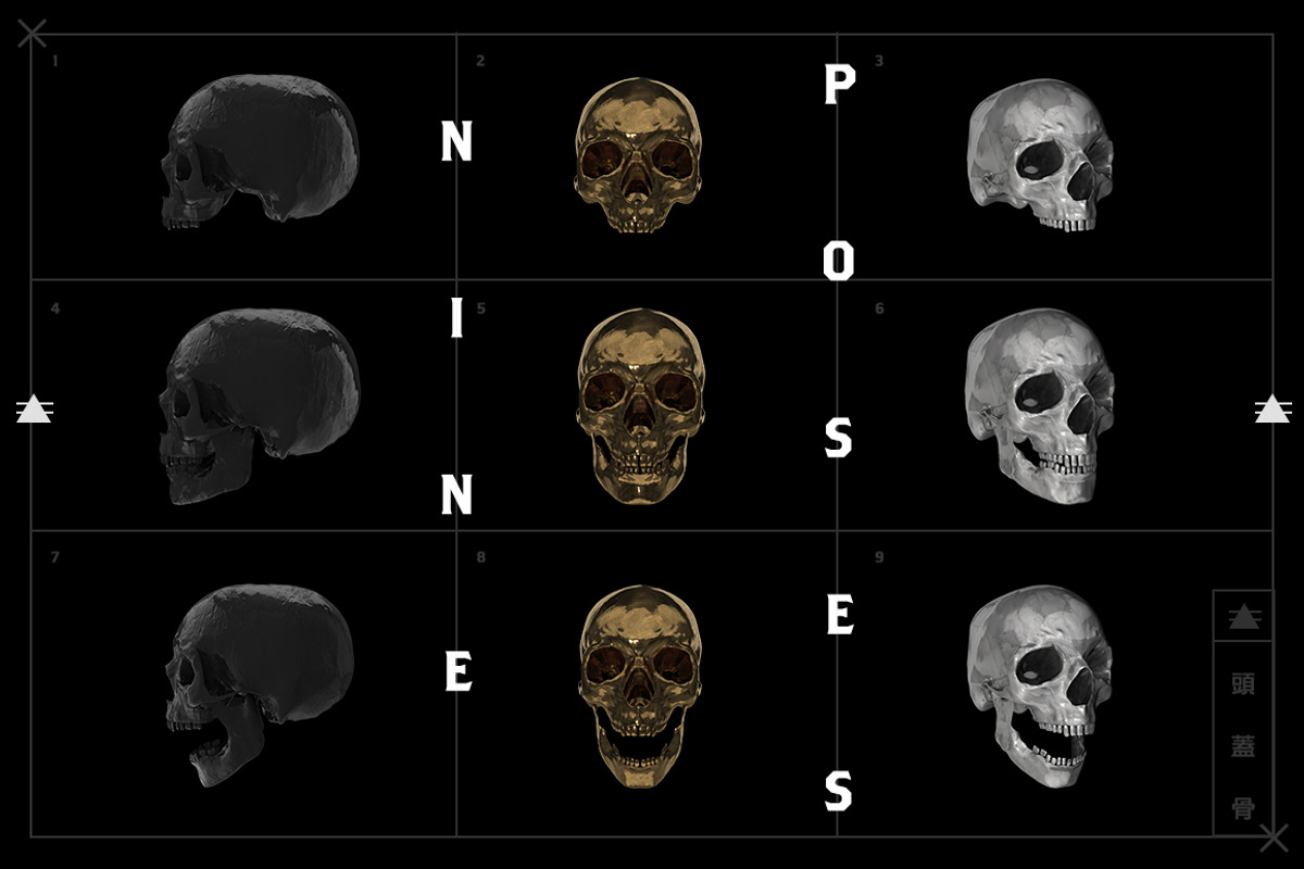 SKULLA- 27 SICK SKULL RENDERS, an Object Graphic by GOAT Design Co. (Photo 4 of 6)