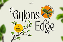 Gulons Edge - Beautiful Display Font