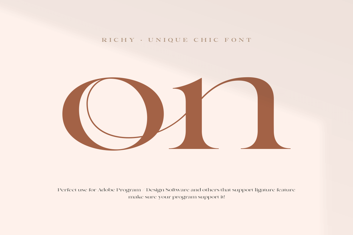 Richy - Unique Chic Font, a Serif Font by Sensatype (Photo 17 of 21)