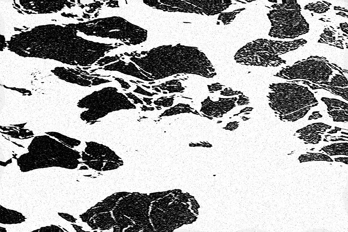 Frenzy Vol 2, a Texture Graphic by Jennifer Lauren Creative (Photo 10 of 16)