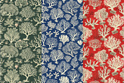 12 Sea Coral Dreams Patterns, a Pattern Graphic by Inknfolly (Thumbnail 3 of 7)