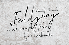 Feldgray | A Ink Script Font