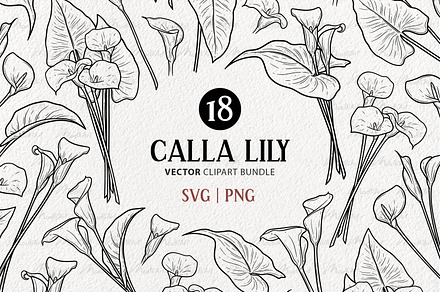 Calla Lily Flower Vector Line Art, an Illustration by MadliArt
