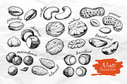 Nuts Set. Hand Drawn Illustrations, a Graphic by Epine (Thumbnail 2 of 3)