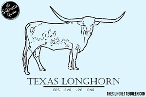 Texas Longhorn Sketch