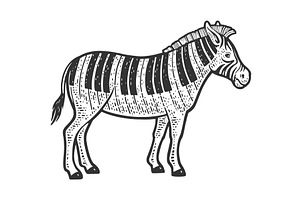 Zebra Piano Line Art Sketch Vector