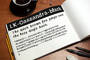 Cassandra Hand Drawn Font, a Script Font by Elegrad Design Agency (Thumbnail 6 of 6)