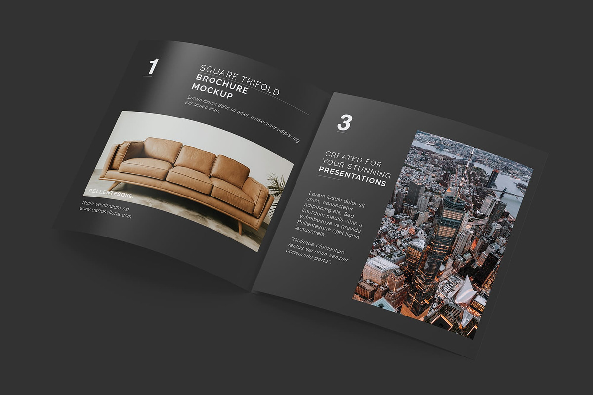 Square Trifold Brochure Mockups, a Print Template by Mockups by Carlos Viloria (Photo 20 of 23)