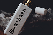 Bulpoint Artline, a Script Font by InermediaSTUDIO (Thumbnail 3 of 8)