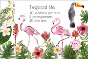 Tropical Life Clip arts & Patterns, a Graphic by Anel_S (Thumbnail 1 of 6)