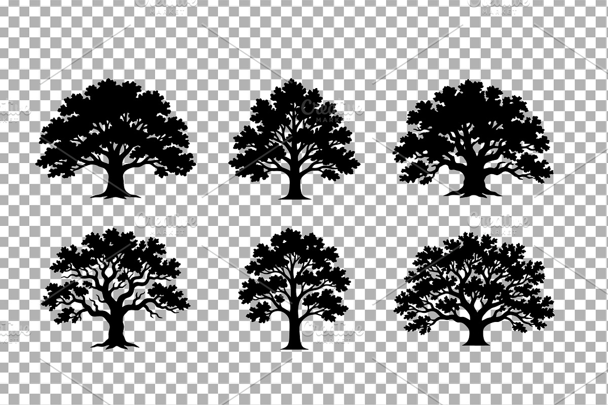 Oak Tree Silhouette Vector Pack, an Object Graphic by Artonix (Photo 3 of 3)