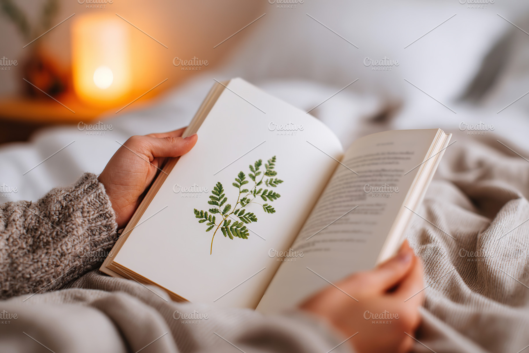 Reading a book with botanical illustrations while cozy in bed on a peaceful eve, a Photo by AlyaAnd