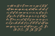 Pluretta Vintage Modern Brush Font, a Serif Font by Letterena Studios Script (Thumbnail 18 of 20)