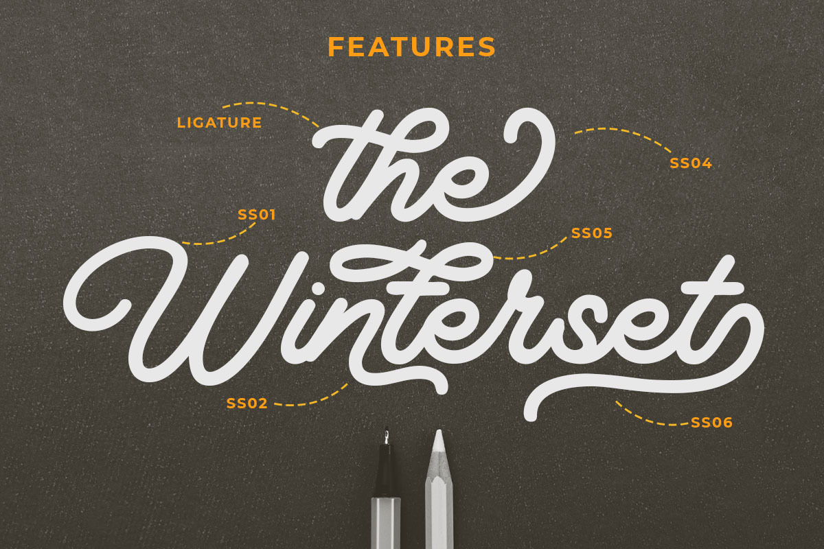 Winstone - Elegant Script Font, a Script Font by dealitastudio (Photo 2 of 9)
