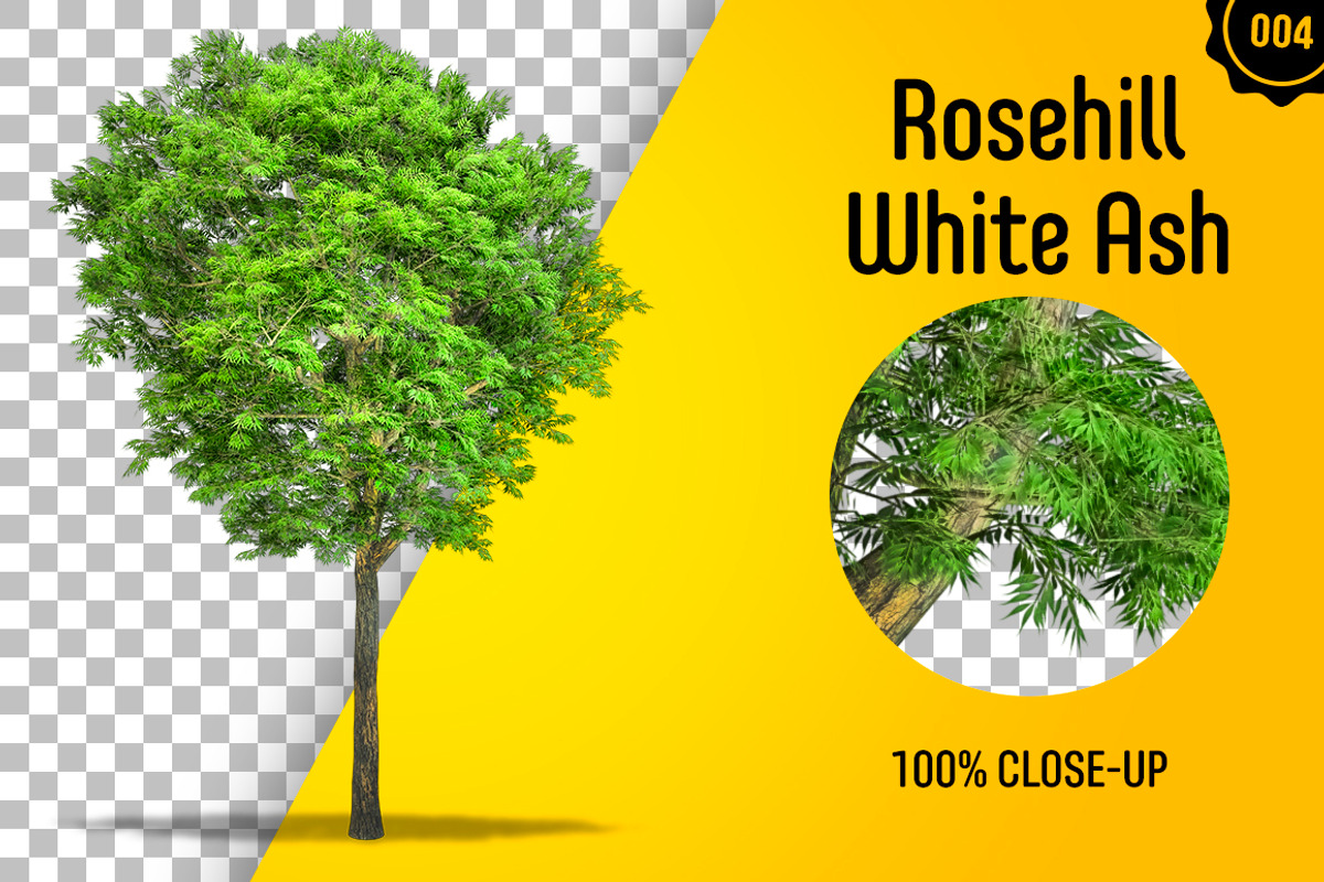 CUT OUT TREES - 60 PCS BUNDLE, a Packaging Mockup by 3DSTORE (Photo 5 of 63)