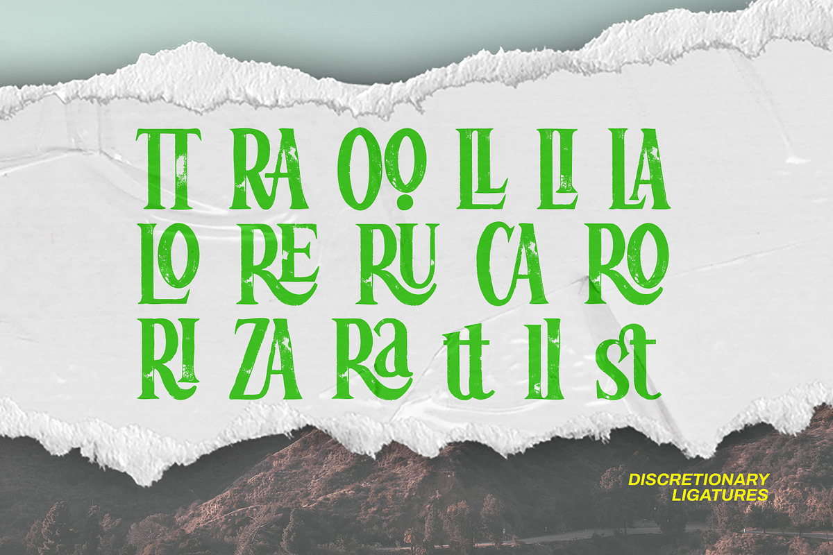 Loscarlo, a Sans Serif Font by Ditatype (Photo 8 of 10)