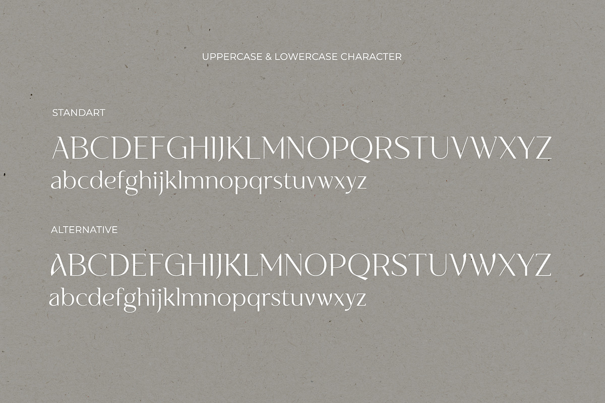 NT VANILLA, a Serif Font by nevsky.type (Photo 2 of 11)