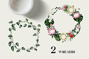 Protea - tropical collection, a Texture Illustration by Backyard Rose (Thumbnail 14 of 22)