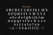 Anya Tamy - Classic Serif Font, a Serif Font by StringLabs (Thumbnail 9 of 10)