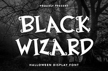 Black Wizard - Halloween Display