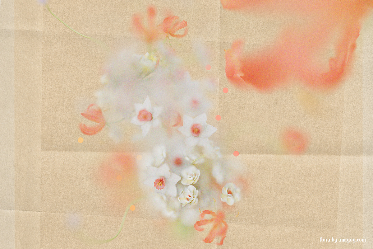 FLORA.PNG | Blurry Flower Collage, an Object Graphic by ana & yvy (Photo 4 of 23)