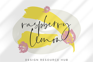 Raspberry Lemon Procreate Palette