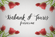 Emillia Script, a Script Font by groens (Thumbnail 5 of 5)