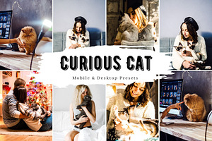 10 Curious Cat Lightroom Presets, a Preset Add-On by LucaTheme