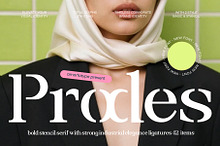 Prodes Bold Stencil Serif