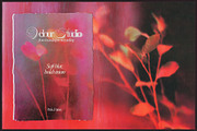 Cinematic Blur - Floral Backgrounds, a Background Graphic by lerinartstudio (Thumbnail 7 of 12)