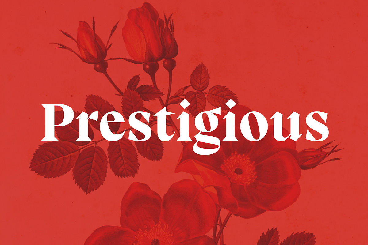 Grafiels - Elegant Classic Serif, a Serif Font by Variatype (Photo 4 of 8)