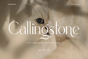 Callingstone Modern Sans Serif Font, a Sans Serif Font by Heinzel Std (Thumbnail 1 of 9)