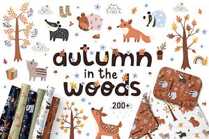 Autumn Baby Animals illustrations