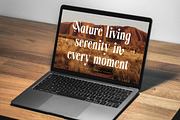 Burstyle Modern Serif Display, a Serif Font by timelesstype.co (Thumbnail 2 of 20)