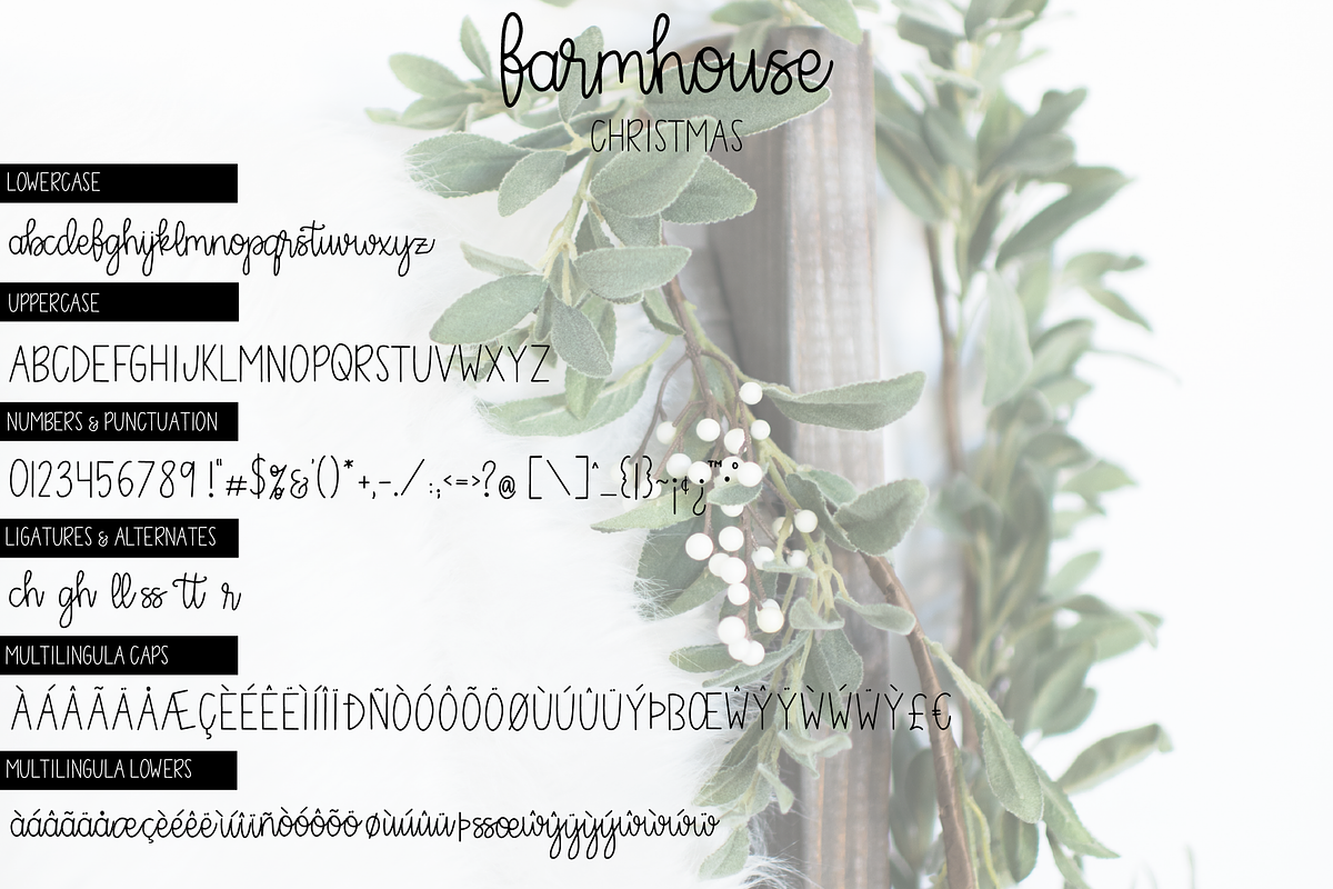 Farmhouse Christmas Script, a Script Font by Cate Shaner (Photo 9 of 10)