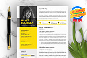 Resume/CV Bundle | 200+ for $29, a Resume Template by ResumeInventor (Thumbnail 197 of 207)
