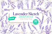 Lavender sketch illustration, a Decorative Illustration by Samira (Thumbnail 1 of 10)