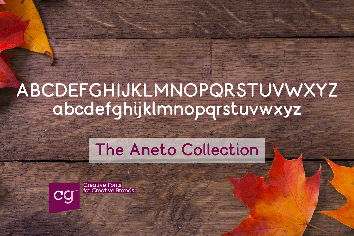 Aneto Sans | Clean Inviting Typeface, a Sans Serif Font by Craft Graphic Type (Photo 2 of 12)