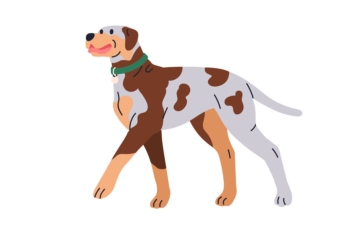 Cute dogs of different breeds set, an Animal Illustration by Good Studio (Photo 6 of 7)