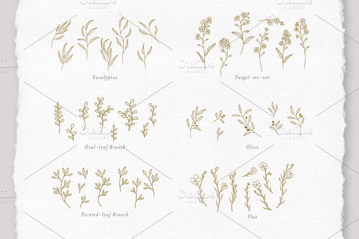 Botanical Elements Set 1, an Illustration by CojoMoxon (Photo 2 of 9)