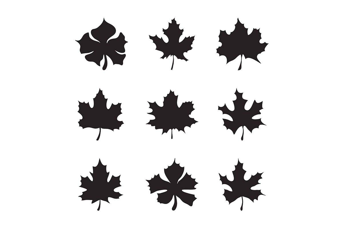 Maple-leaf silhouette, an Icon by idimair