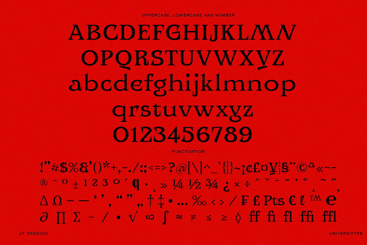 UT Shadigo - A Sharp Display Font, a Serif Font by Universitype (Photo 13 of 14)