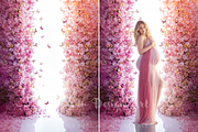 Butterflies Floral Backlit Backdrop, a Background Photo by Winwin Design Art (Thumbnail 3 of 6)