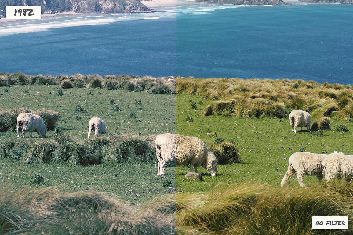 1980s Photo Actions for Photoshop, an Action Add-On by Guerillacraft (Photo 4 of 12)