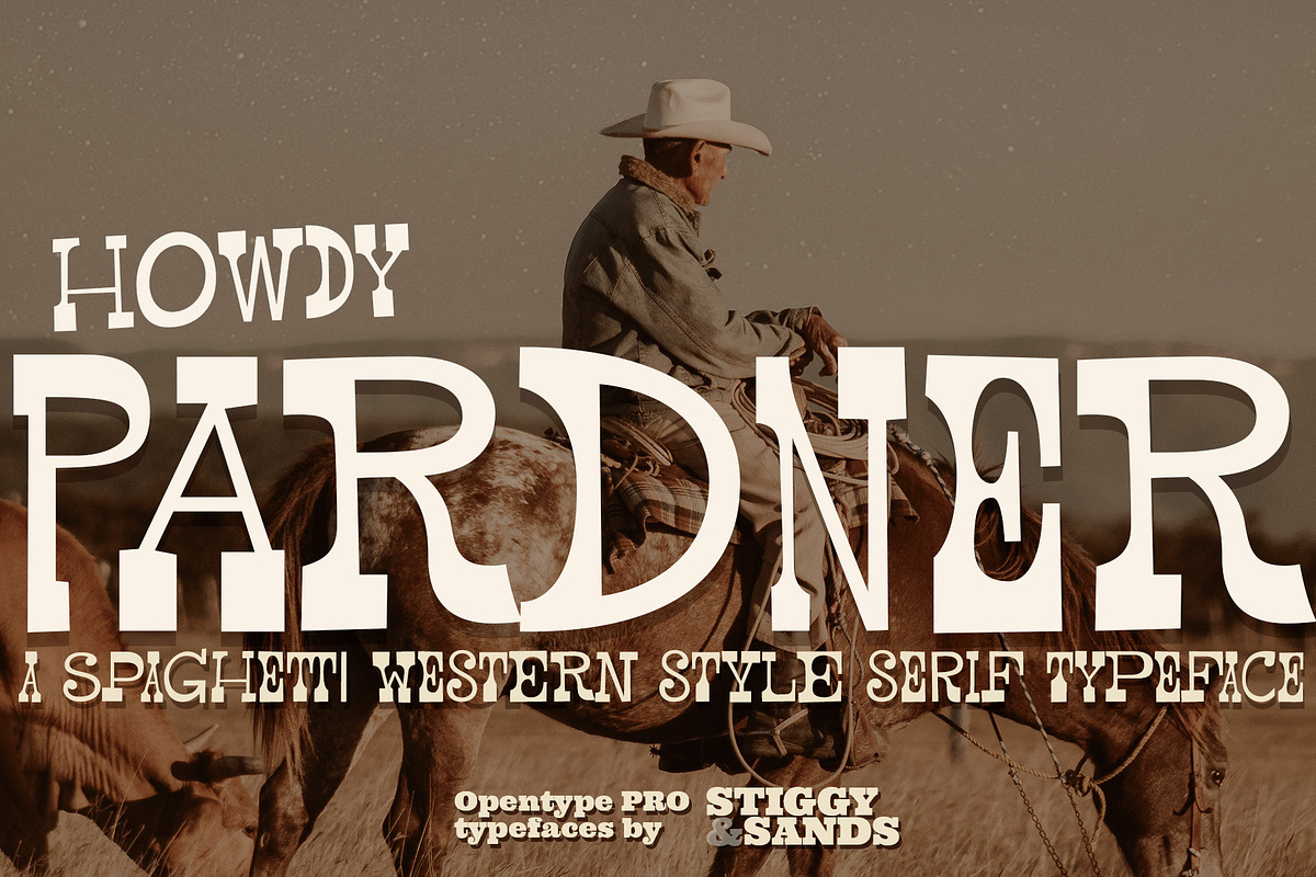 Pardner, a Serif Font by Stiggy & Sands (Photo 1 of 4)